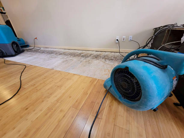 Professional Flood Damage Cleanup technician working in Berry, AL